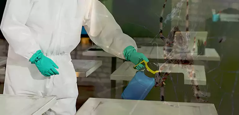 Why Buyers Still Want Homes With Pest Infestations in Arizona City, AZ?