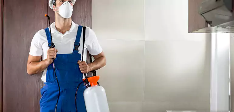 Why Arizona City Homeowners Choose Us When Pests Make Selling Difficult