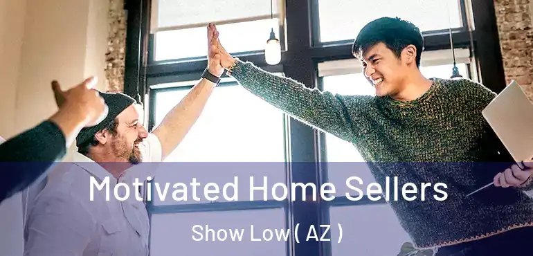  Motivated Home Sellers Show Low ( AZ )