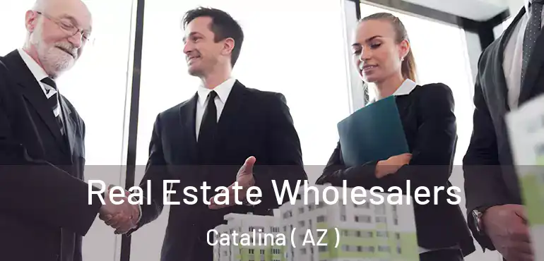  Real Estate Wholesalers Catalina ( AZ )