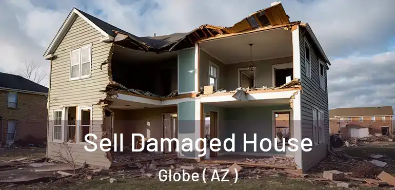  Sell Damaged House Globe ( AZ )