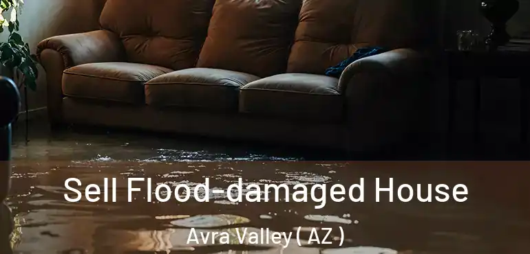  Sell Flood-damaged House Avra Valley ( AZ )