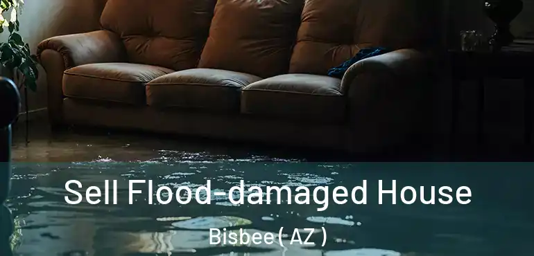  Sell Flood-damaged House Bisbee ( AZ )