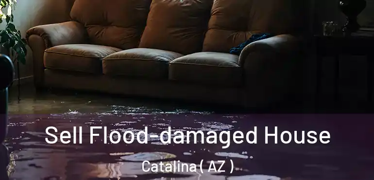  Sell Flood-damaged House Catalina ( AZ )