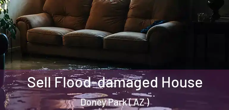 Sell Flood-damaged House Doney Park ( AZ )