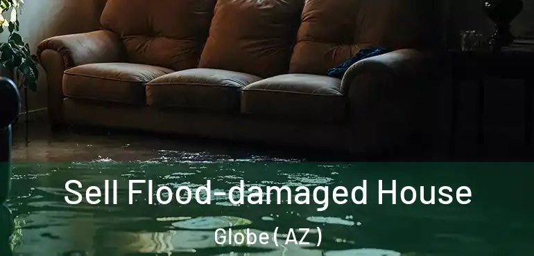  Sell Flood-damaged House Globe ( AZ )