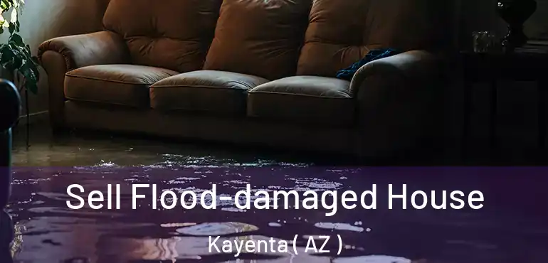  Sell Flood-damaged House Kayenta ( AZ )