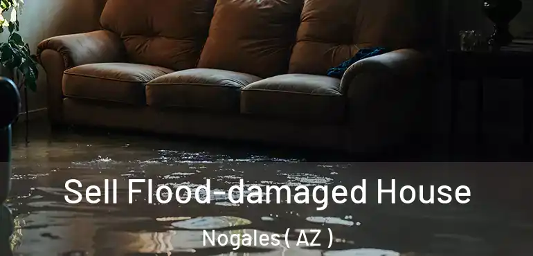  Sell Flood-damaged House Nogales ( AZ )