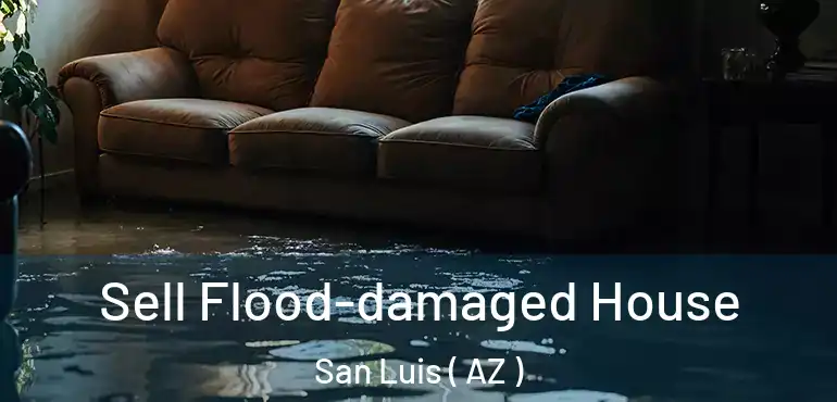  Sell Flood-damaged House San Luis ( AZ )