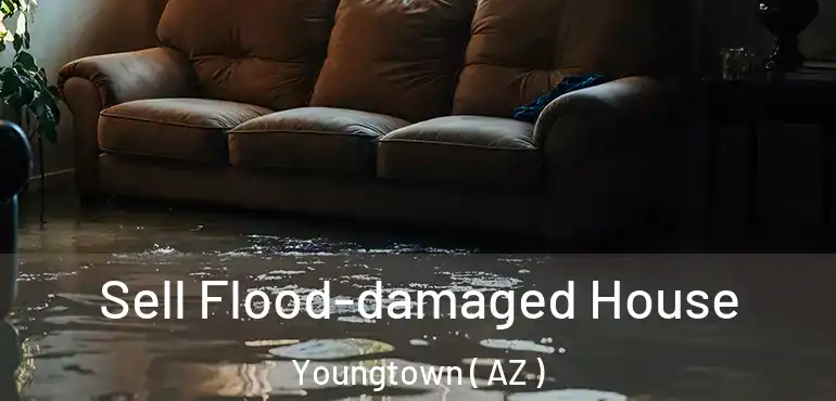  Sell Flood-damaged House Youngtown ( AZ )