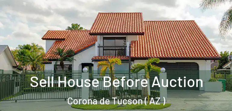  Sell House Before Auction Corona de Tucson ( AZ )
