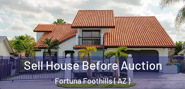  Sell House Before Auction Fortuna Foothills ( AZ )