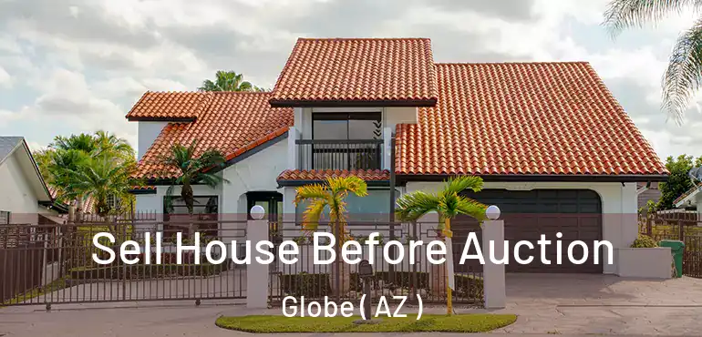  Sell House Before Auction Globe ( AZ )