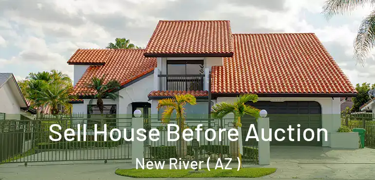  Sell House Before Auction New River ( AZ )
