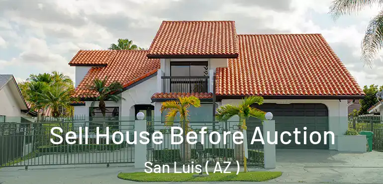  Sell House Before Auction San Luis ( AZ )