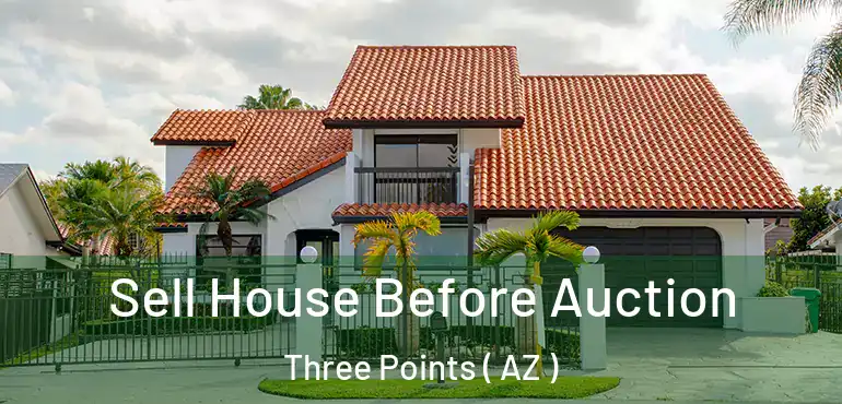  Sell House Before Auction Three Points ( AZ )