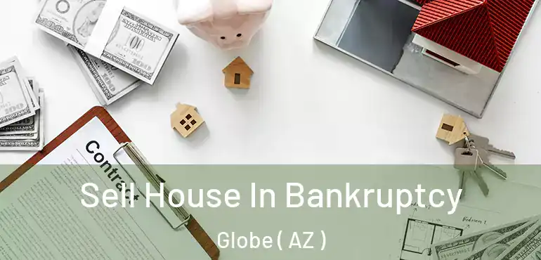  Sell House In Bankruptcy Globe ( AZ )