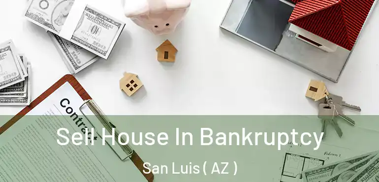  Sell House In Bankruptcy San Luis ( AZ )