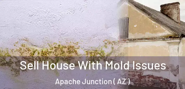  Sell House With Mold Issues Apache Junction ( AZ )