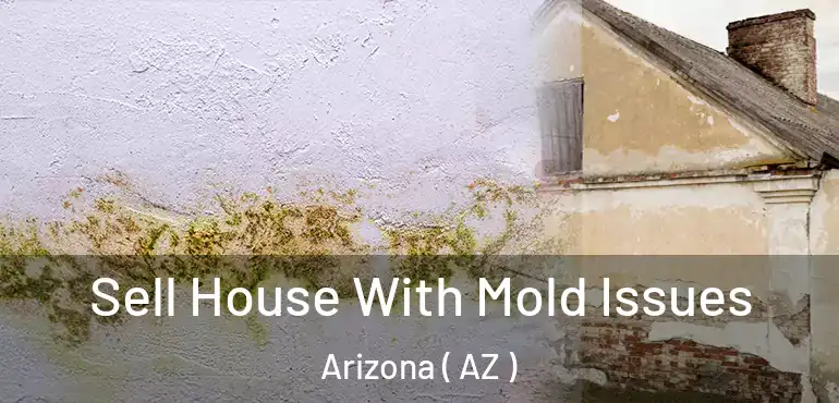  Sell House With Mold Issues Arizona ( AZ )