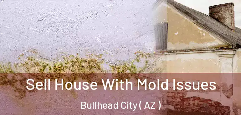  Sell House With Mold Issues Bullhead City ( AZ )