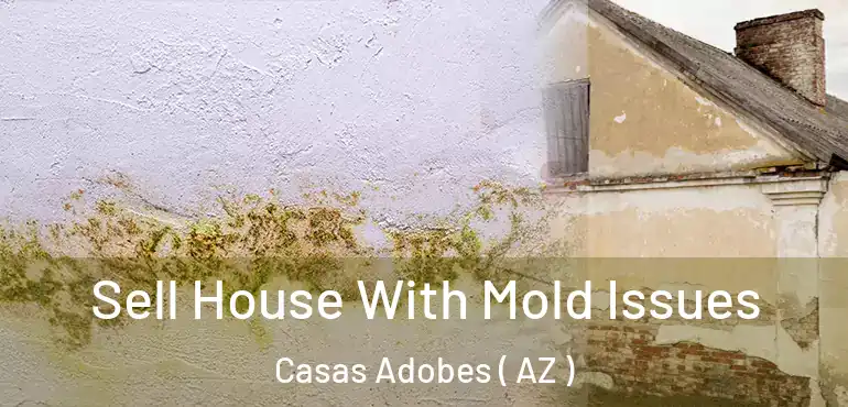  Sell House With Mold Issues Casas Adobes ( AZ )