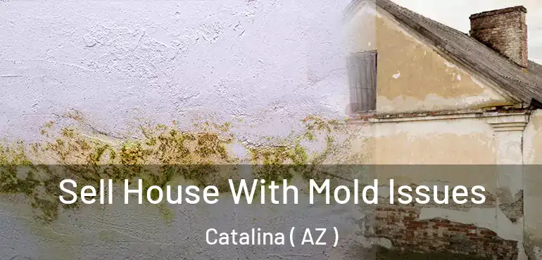  Sell House With Mold Issues Catalina ( AZ )