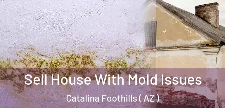  Sell House With Mold Issues Catalina Foothills ( AZ )