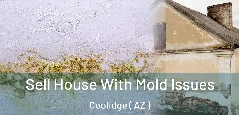  Sell House With Mold Issues Coolidge ( AZ )