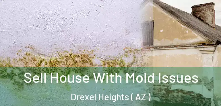  Sell House With Mold Issues Drexel Heights ( AZ )