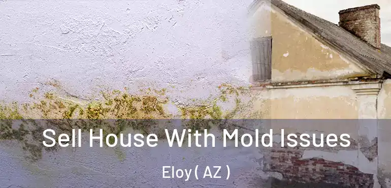  Sell House With Mold Issues Eloy ( AZ )