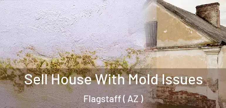  Sell House With Mold Issues Flagstaff ( AZ )