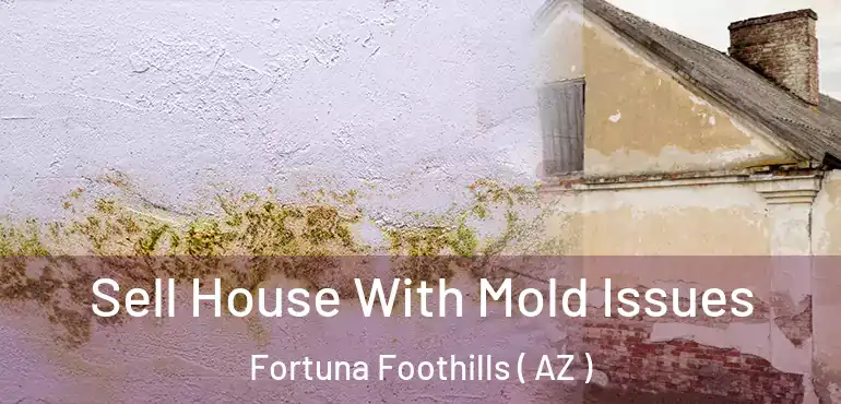  Sell House With Mold Issues Fortuna Foothills ( AZ )