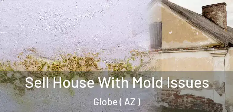  Sell House With Mold Issues Globe ( AZ )