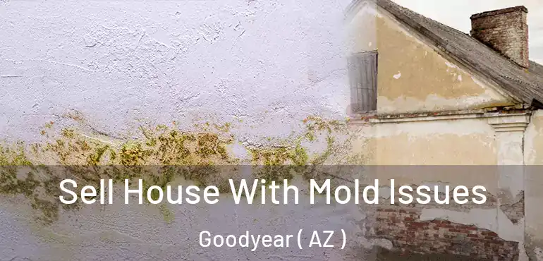  Sell House With Mold Issues Goodyear ( AZ )
