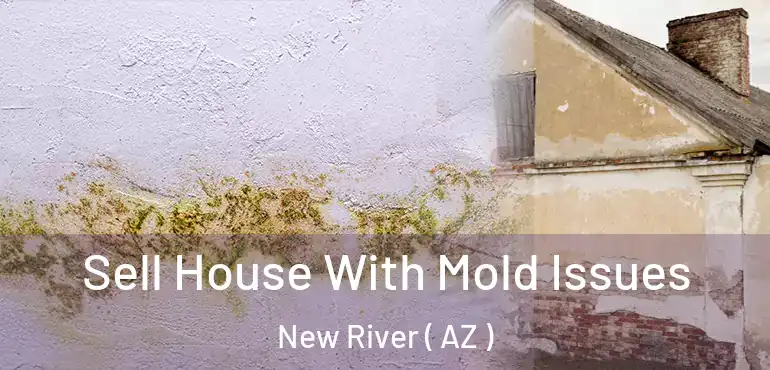  Sell House With Mold Issues New River ( AZ )