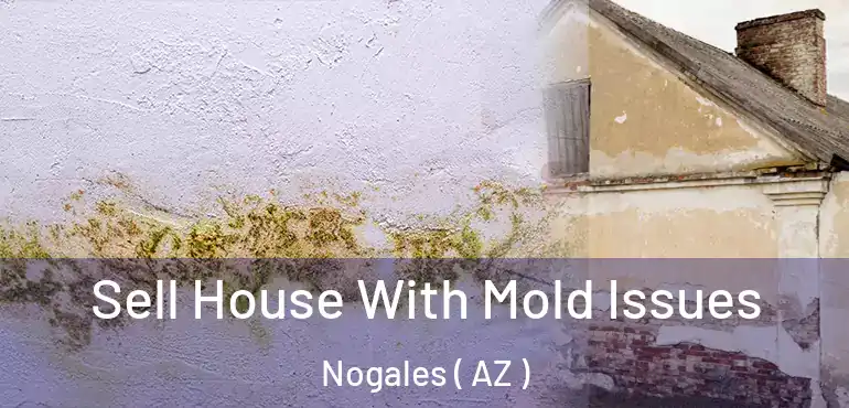  Sell House With Mold Issues Nogales ( AZ )