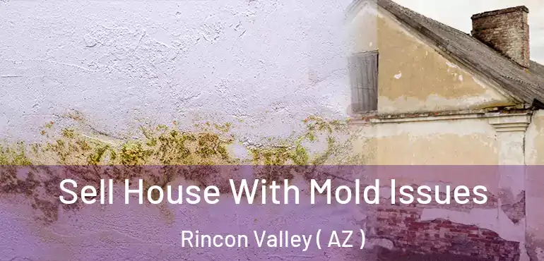  Sell House With Mold Issues Rincon Valley ( AZ )
