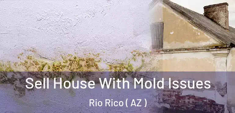  Sell House With Mold Issues Rio Rico ( AZ )