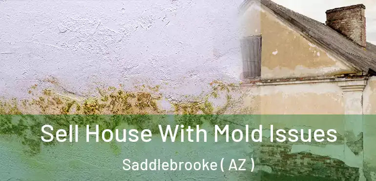 Sell House With Mold Issues Saddlebrooke ( AZ )