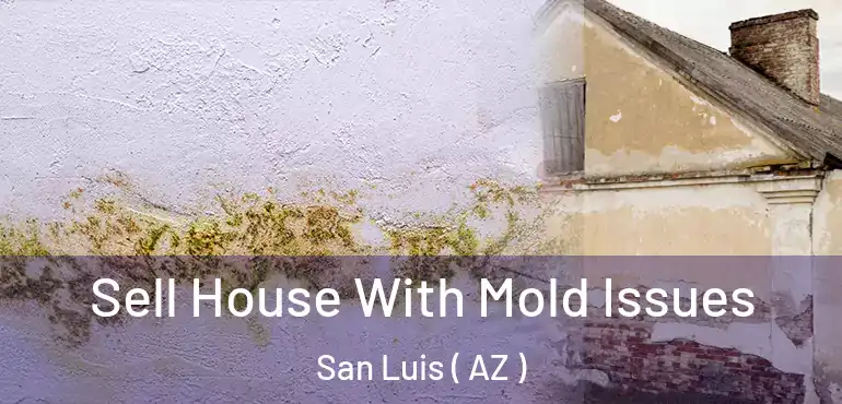  Sell House With Mold Issues San Luis ( AZ )