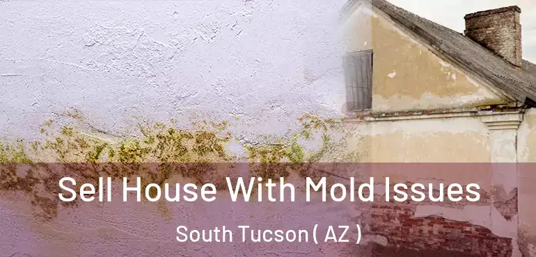 Sell House With Mold Issues South Tucson ( AZ )