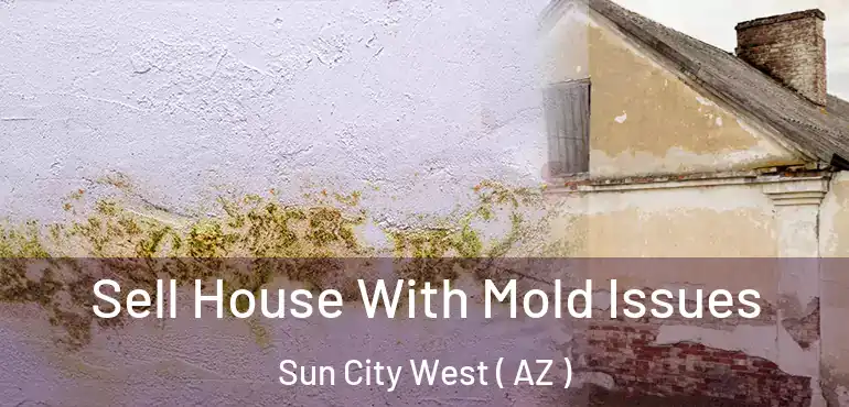  Sell House With Mold Issues Sun City West ( AZ )