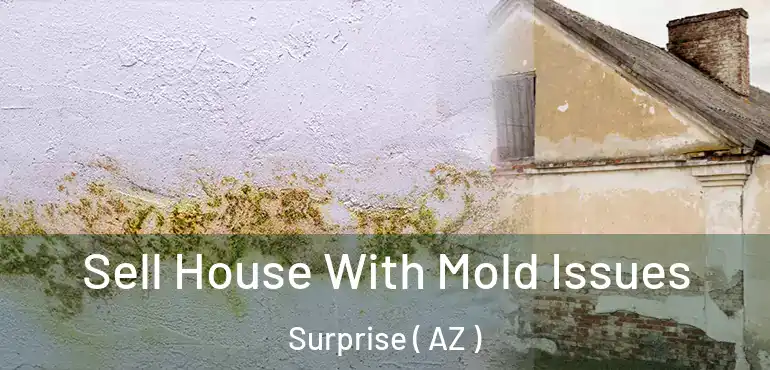  Sell House With Mold Issues Surprise ( AZ )
