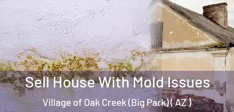  Sell House With Mold Issues Village of Oak Creek (Big Park) ( AZ )