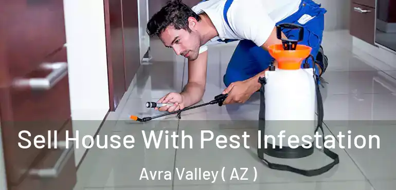  Sell House With Pest Infestation Avra Valley ( AZ )