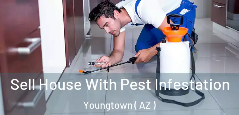  Sell House With Pest Infestation Youngtown ( AZ )
