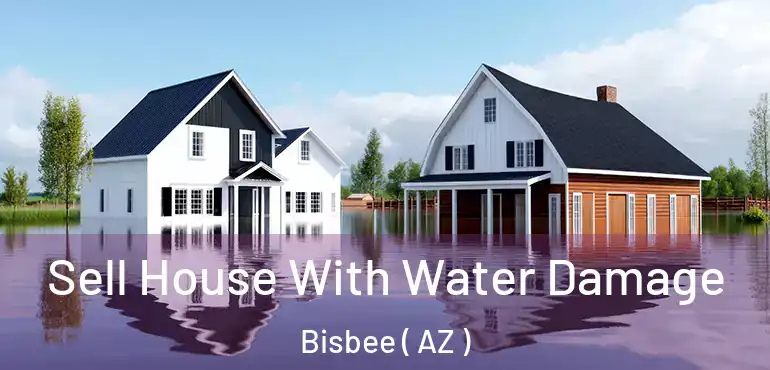  Sell House With Water Damage Bisbee ( AZ )