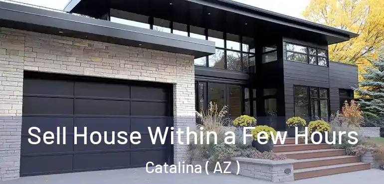  Sell House Within a Few Hours Catalina ( AZ )