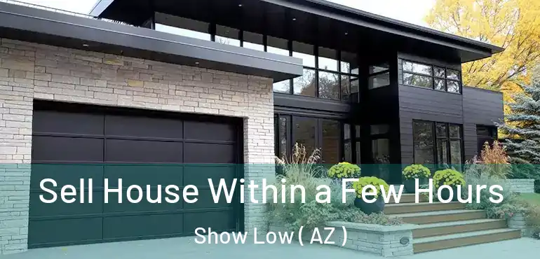  Sell House Within a Few Hours Show Low ( AZ )